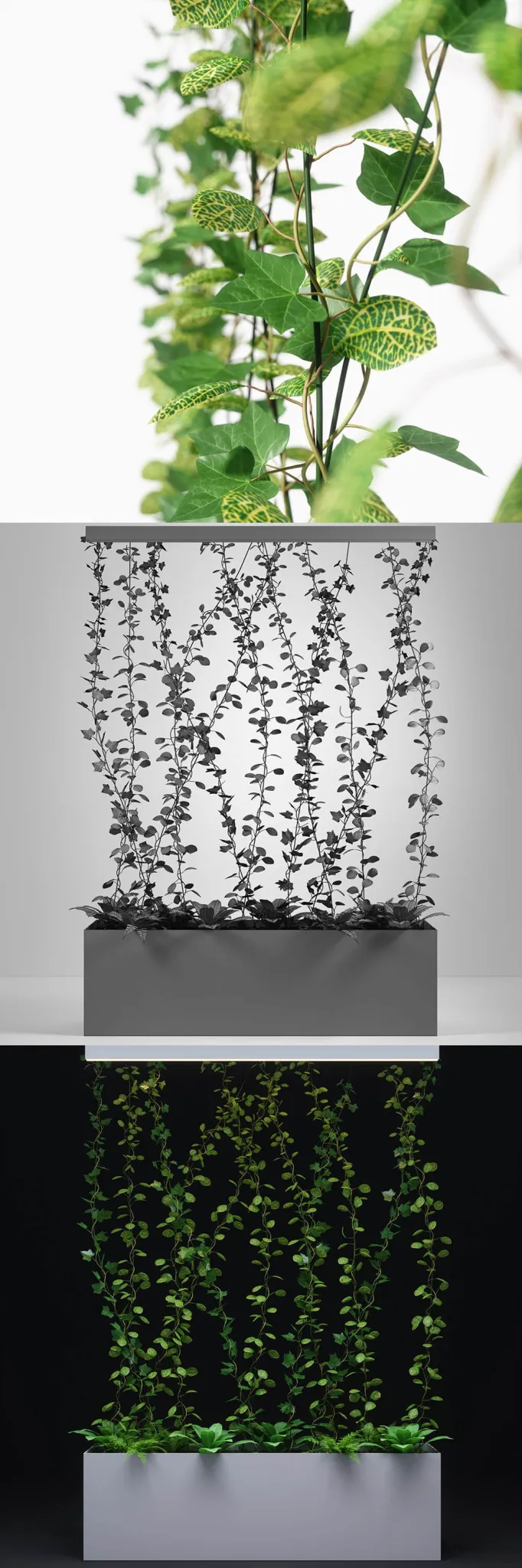 decoration - Plant 01 3D Model