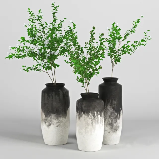 decoration - Plant 3D Model