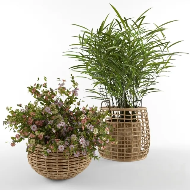 decoration - Plant 97 3D Model