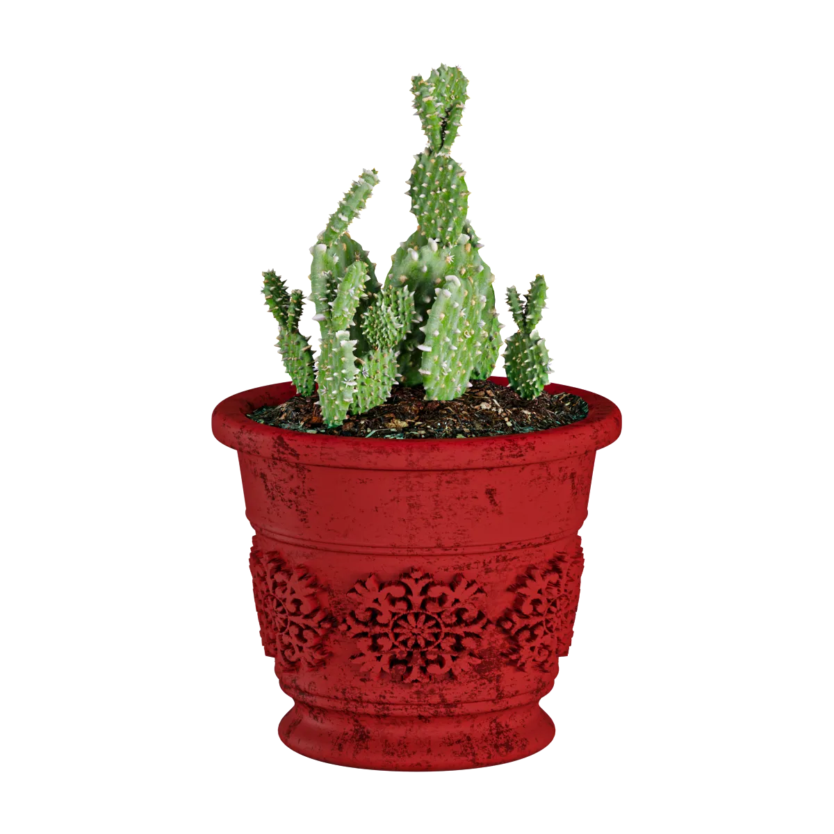 decoration - Plant cactus 3D Model