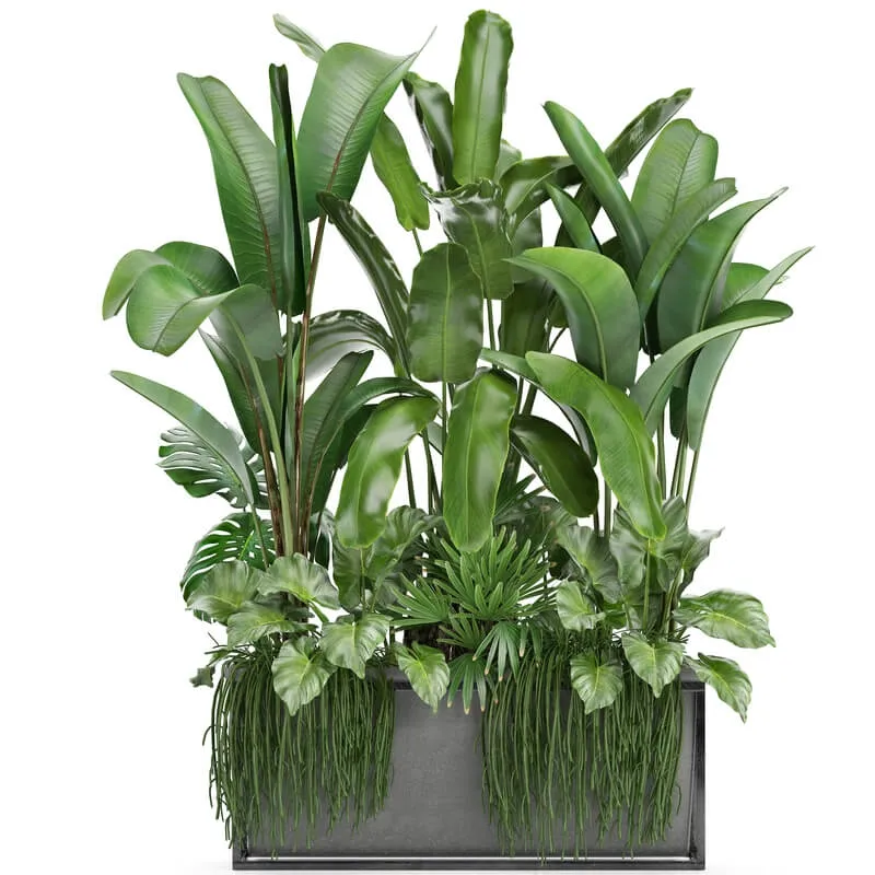 decoration - Plant collection 243 3D Model