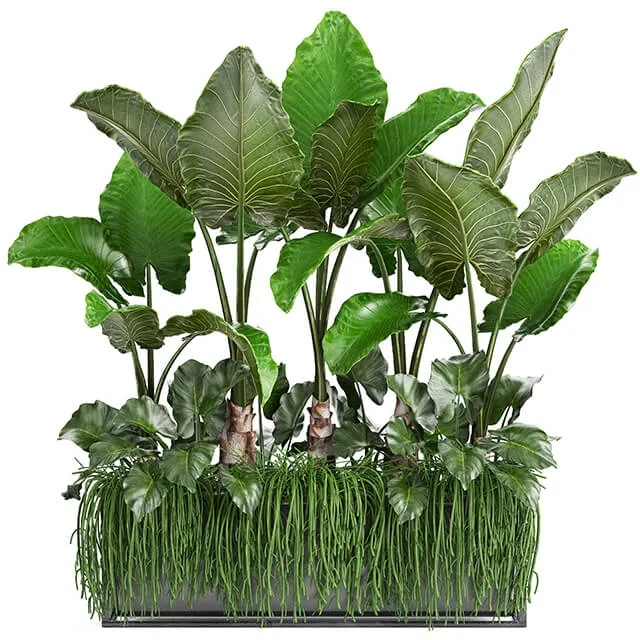 decoration - Plant collection 248 3D Model