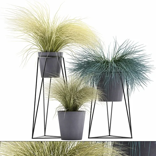 decoration - Plant Collection 279 3D Model