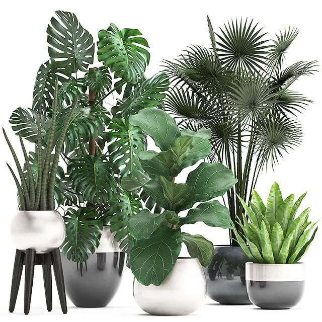 decoration - Plant Collection 293 3D Model