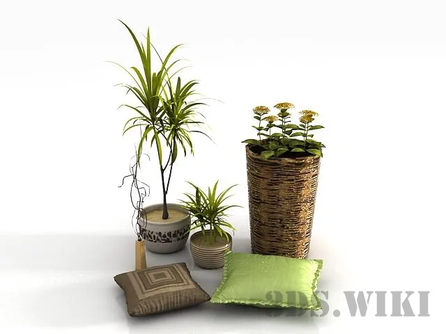 decoration - Plant flowers and pillows 3D Model