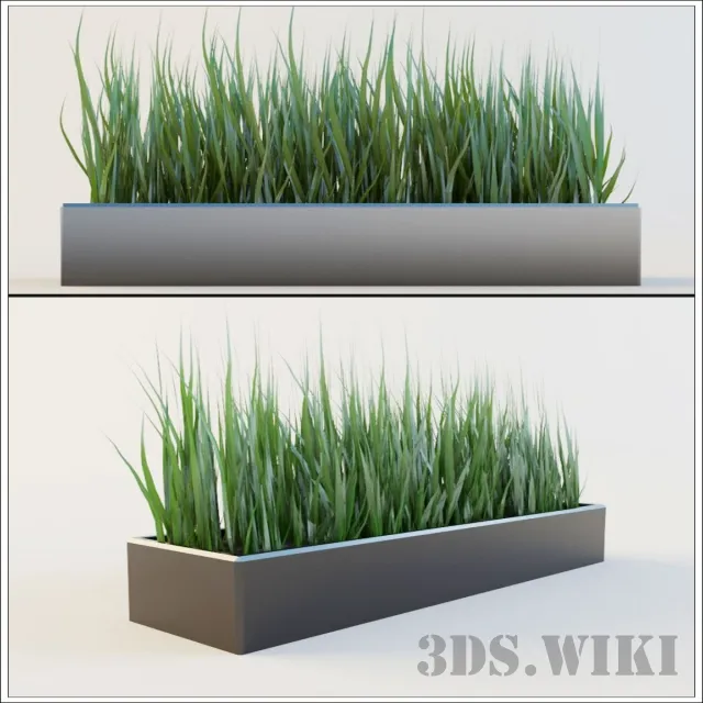 decoration - Plant for exterior and interior - Grass 3D Model