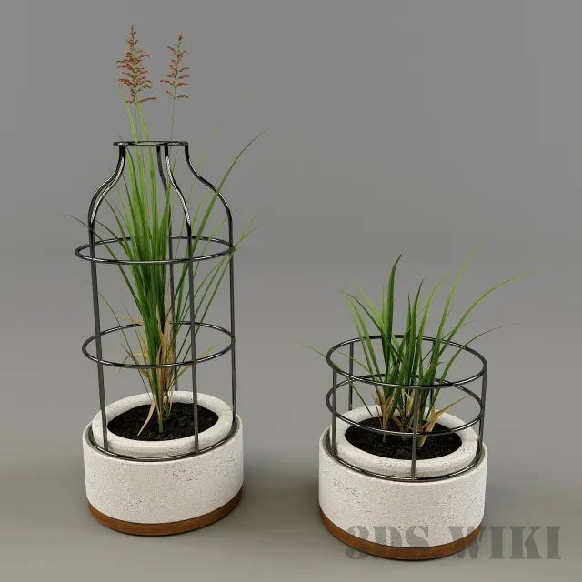 decoration - Plant - grass in decorative pots 3D Model