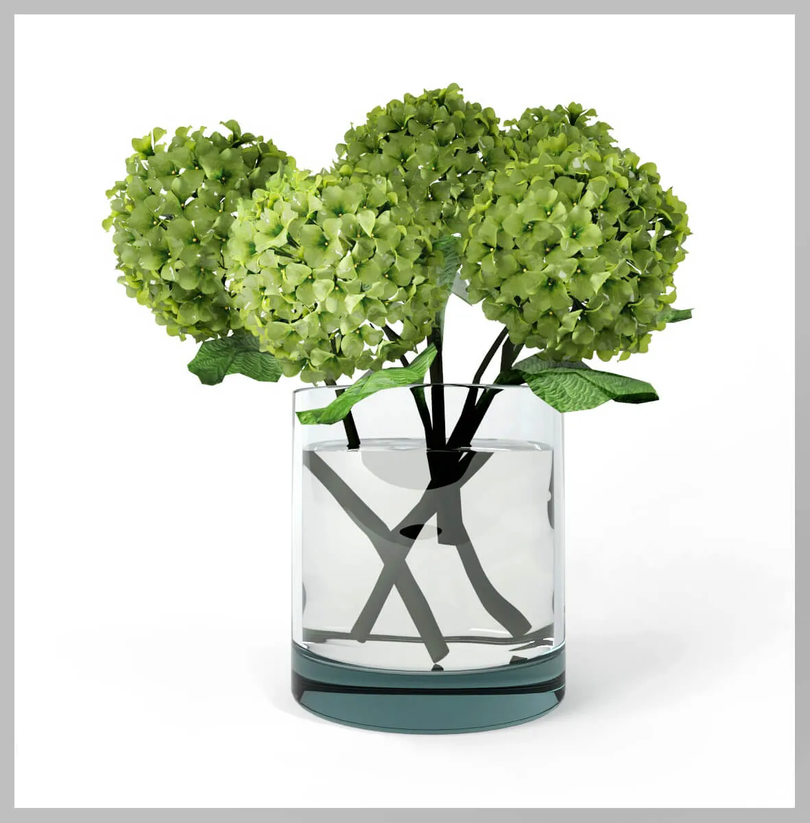 decoration - Plant hydrangea 10 3D Model