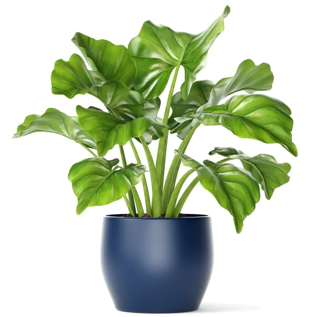 decoration - Plant in a pot 1 3D Model