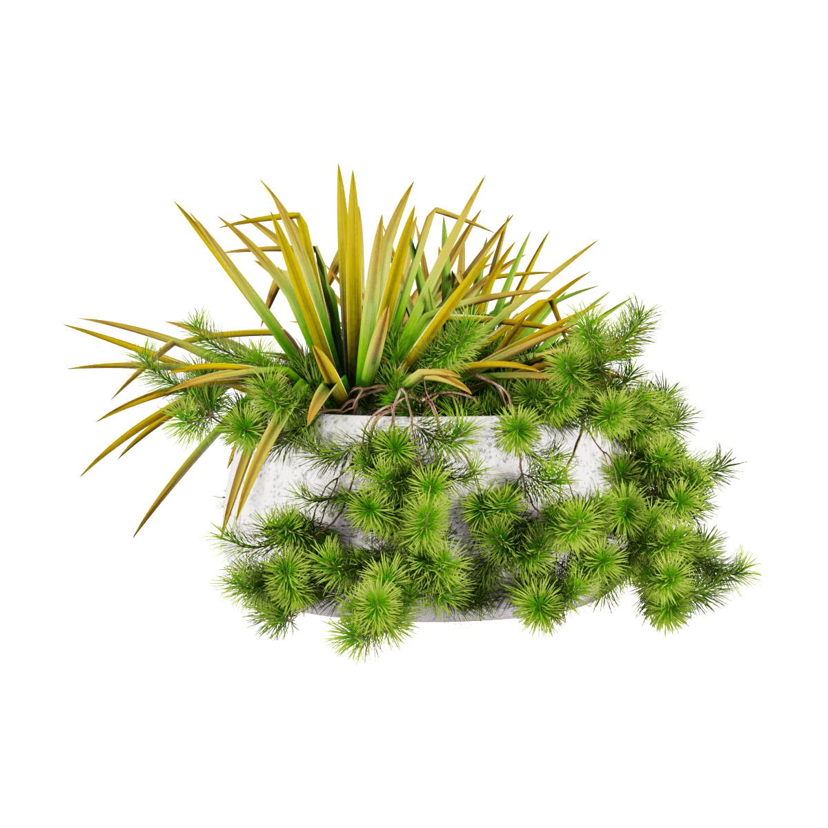 decoration - Plant in a pot 3D Model