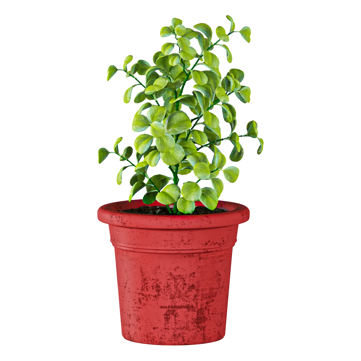 decoration - Plant in a pot 3D Model