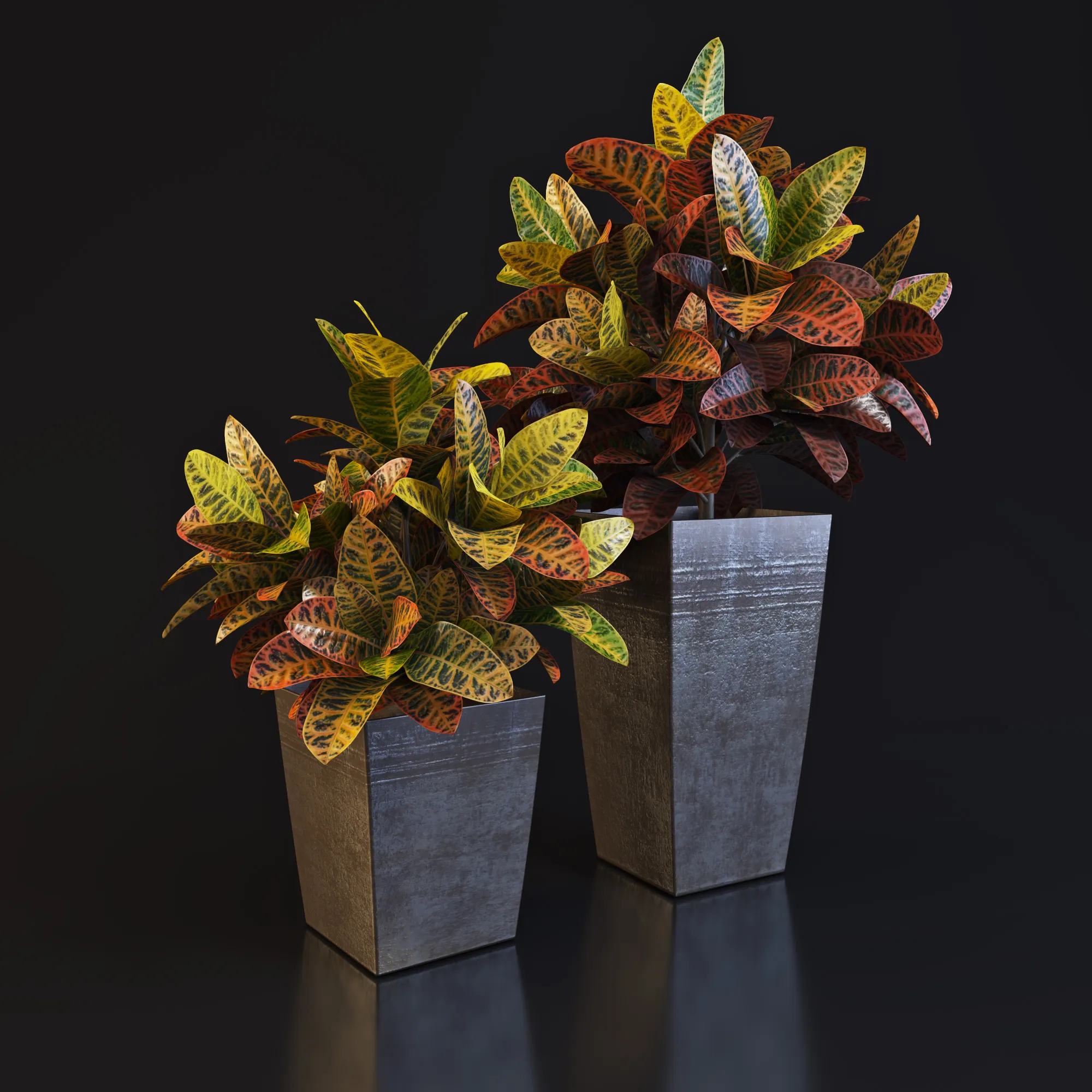 decoration - Plant in a vase 03 3D Model
