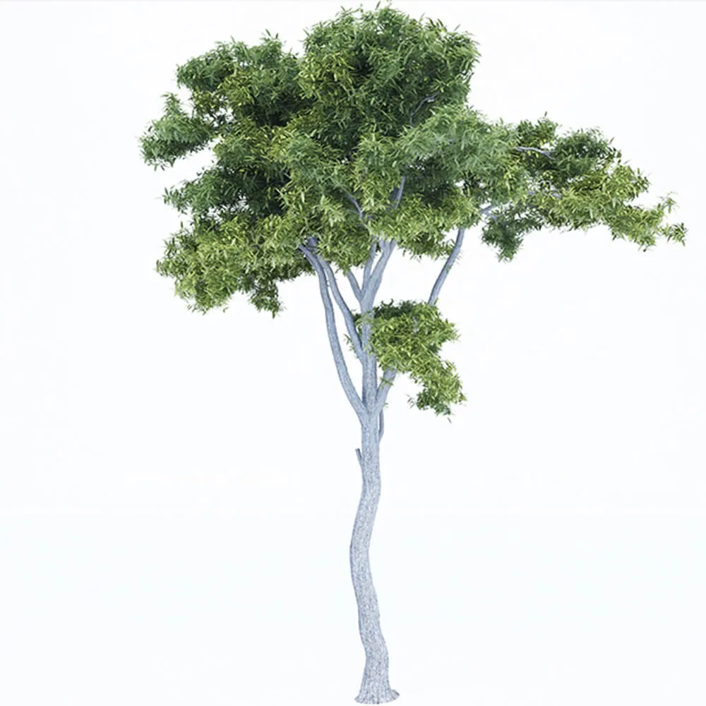 decoration - Plant in the form of a tree 3D Model