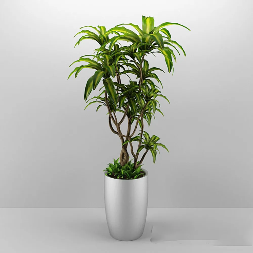 decoration - Plant in the pot 3D Model