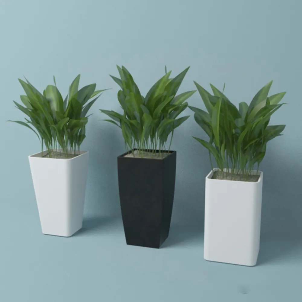 decoration - Plant (leaves) in vases 3D Model