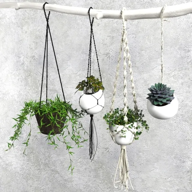 decoration - Plant Set 004 3D Model