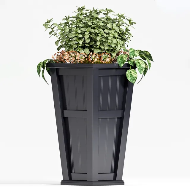 decoration - Plant set 020 3D Model