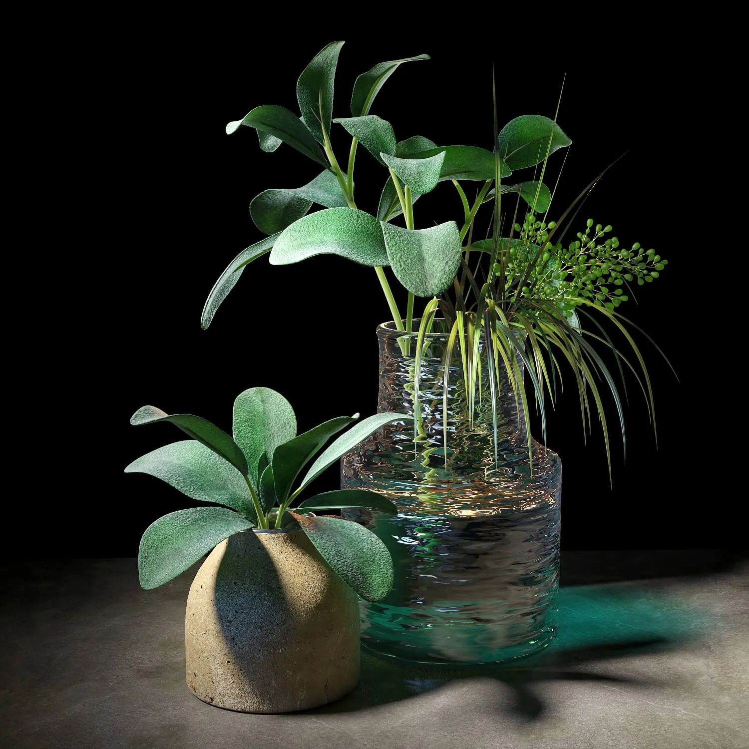 decoration - Plant set 044 3D Model