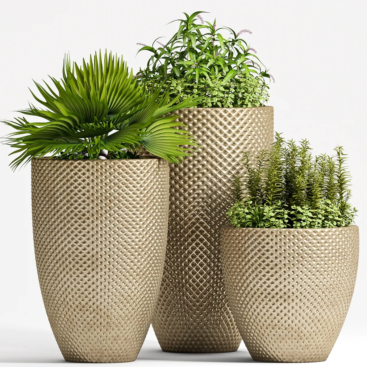 decoration - Plant Set 1 01 3D Model