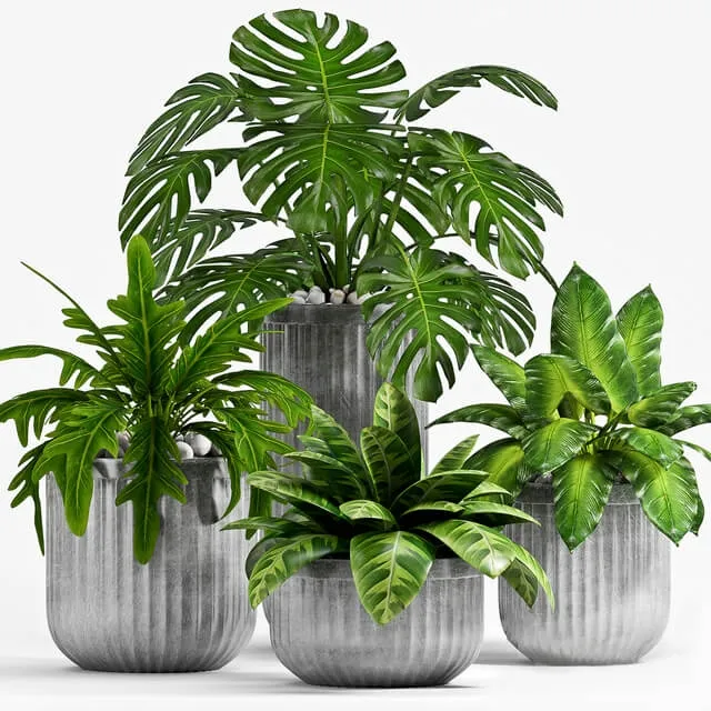 decoration - Plant Set 100 3D Model