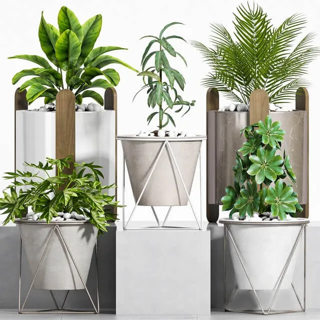 decoration - Plant set-106 3D Model