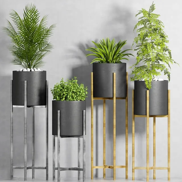 decoration - Plant set-107 3D Model