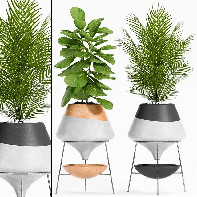 decoration - PLANT SET-108 3D Model