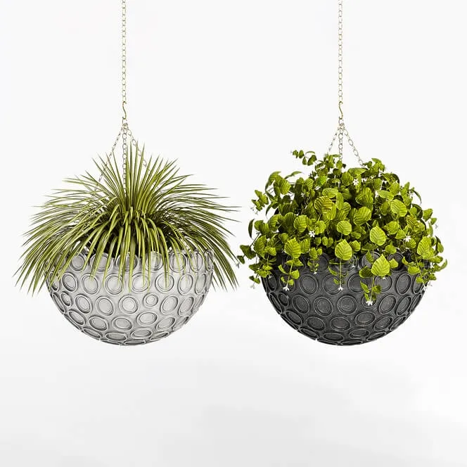 decoration - Plant set 110 3D Model