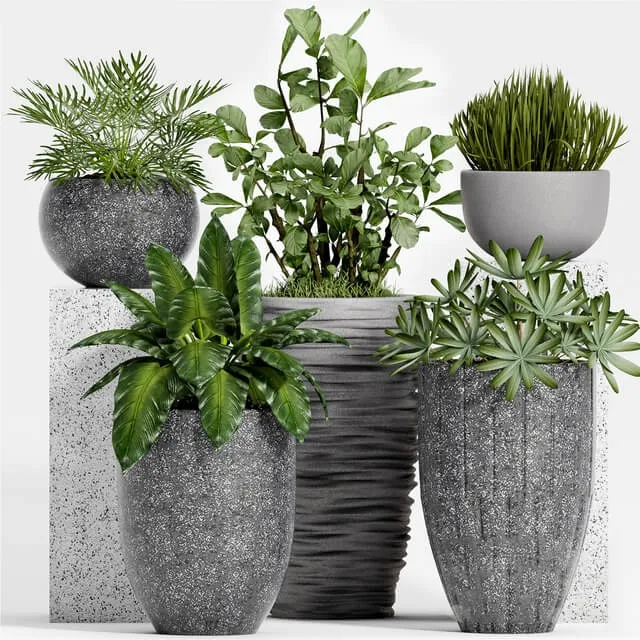 decoration - Plant Set -115 3D Model