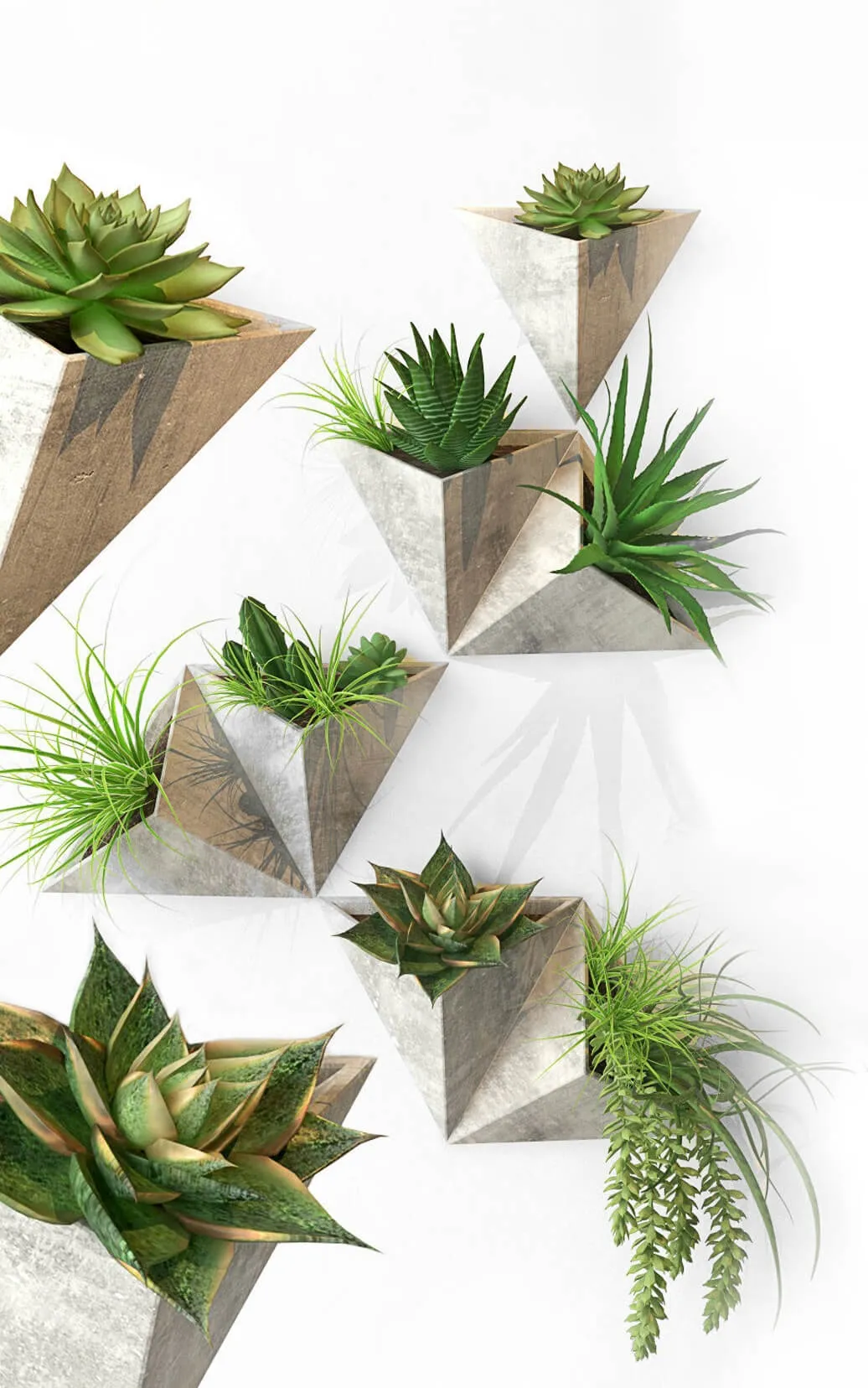 decoration - Plant set 3D Model