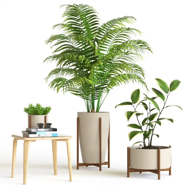 decoration - Plant set 5 3D Model
