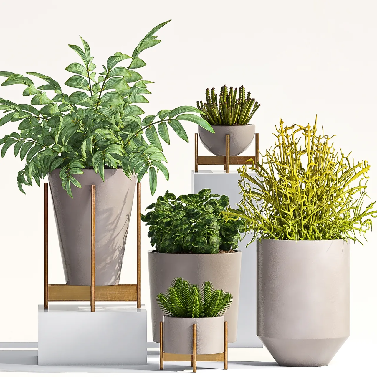 decoration - Plant Set -66 3D Model