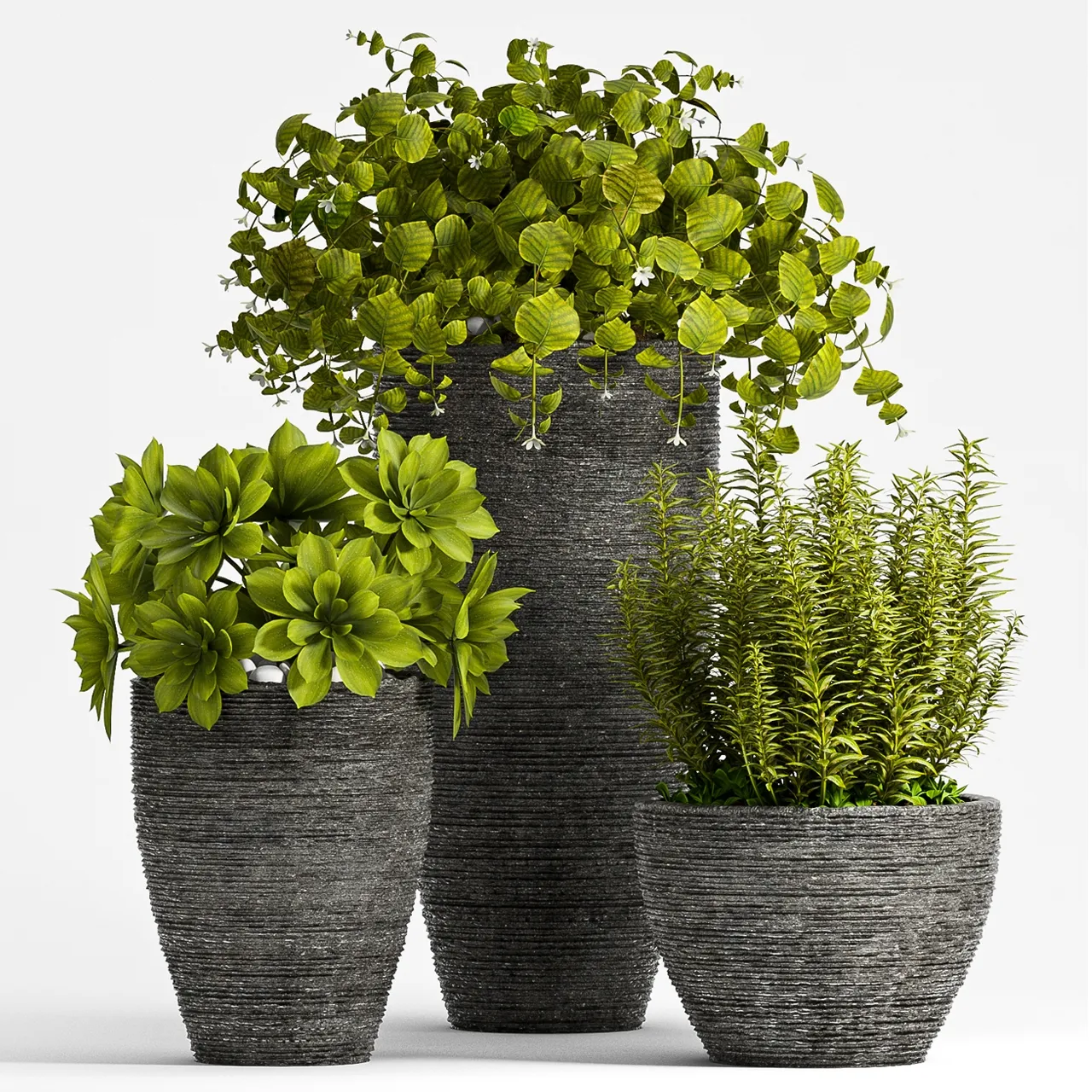 decoration - Plant Set - 75 3D Model