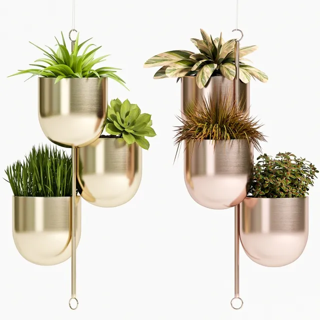 decoration - PLANT SET -79 3D Model