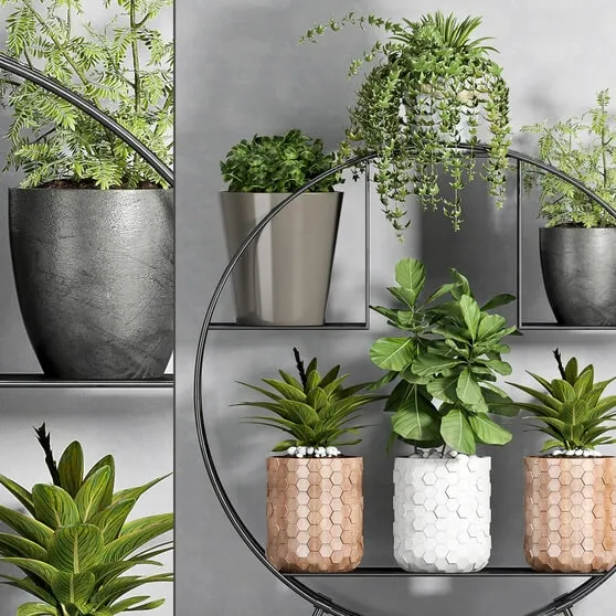 decoration - Plant set 88 3D Model