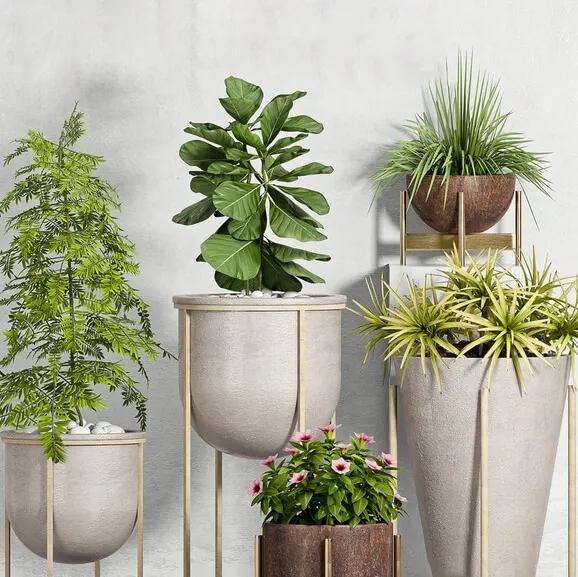 decoration - Plant Set - 90 3D Model