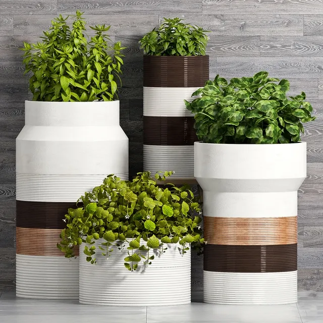 decoration - Plant Set -93 3D Model
