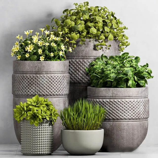 decoration - Plant  Set -96 3D Model