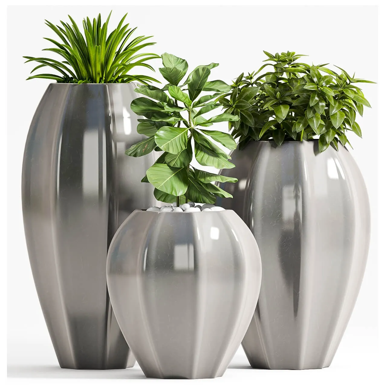 decoration - Plant Set _70 3D Model
