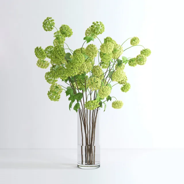 decoration - Plant viburnum 01 3D Model