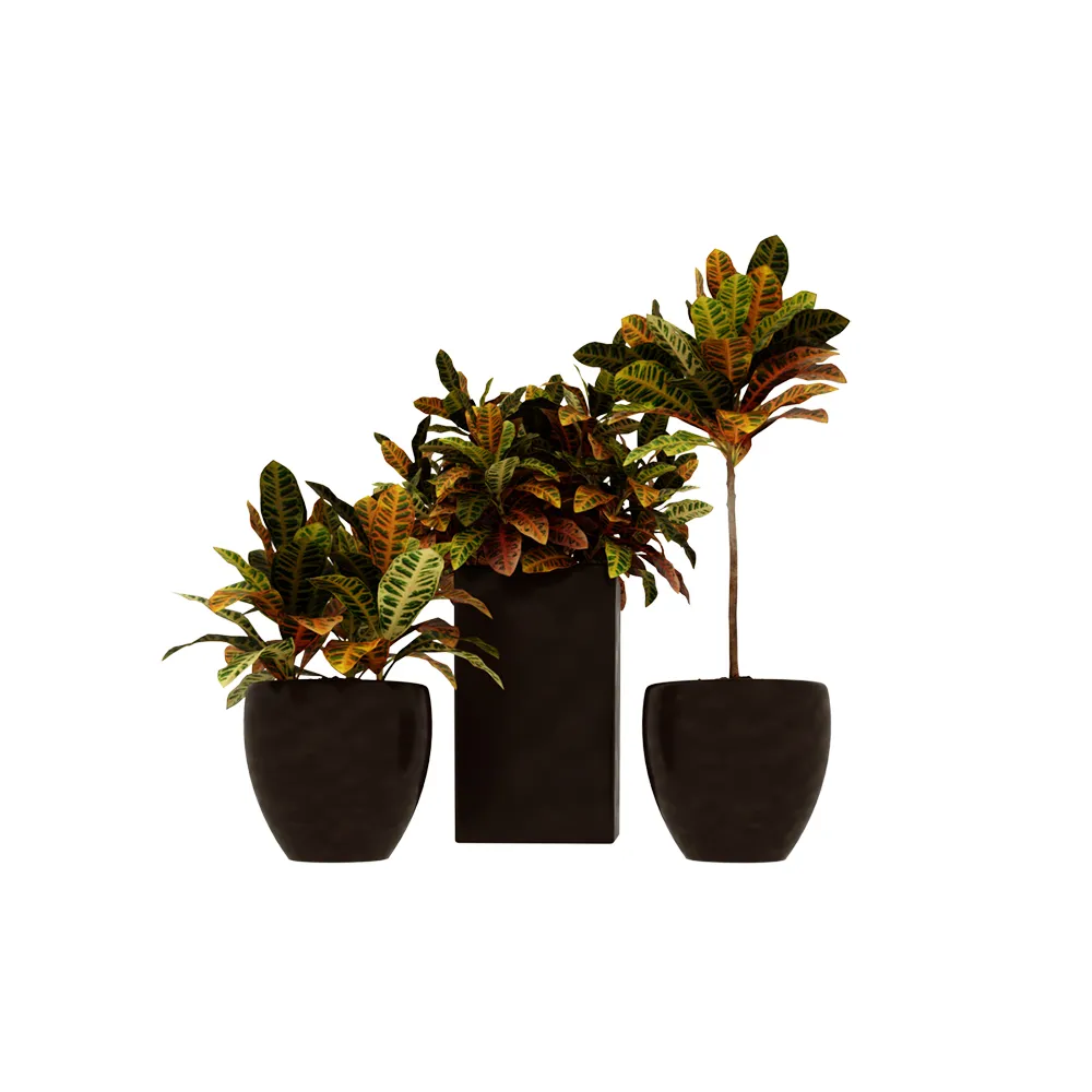 decoration - Plants 006 3D Model