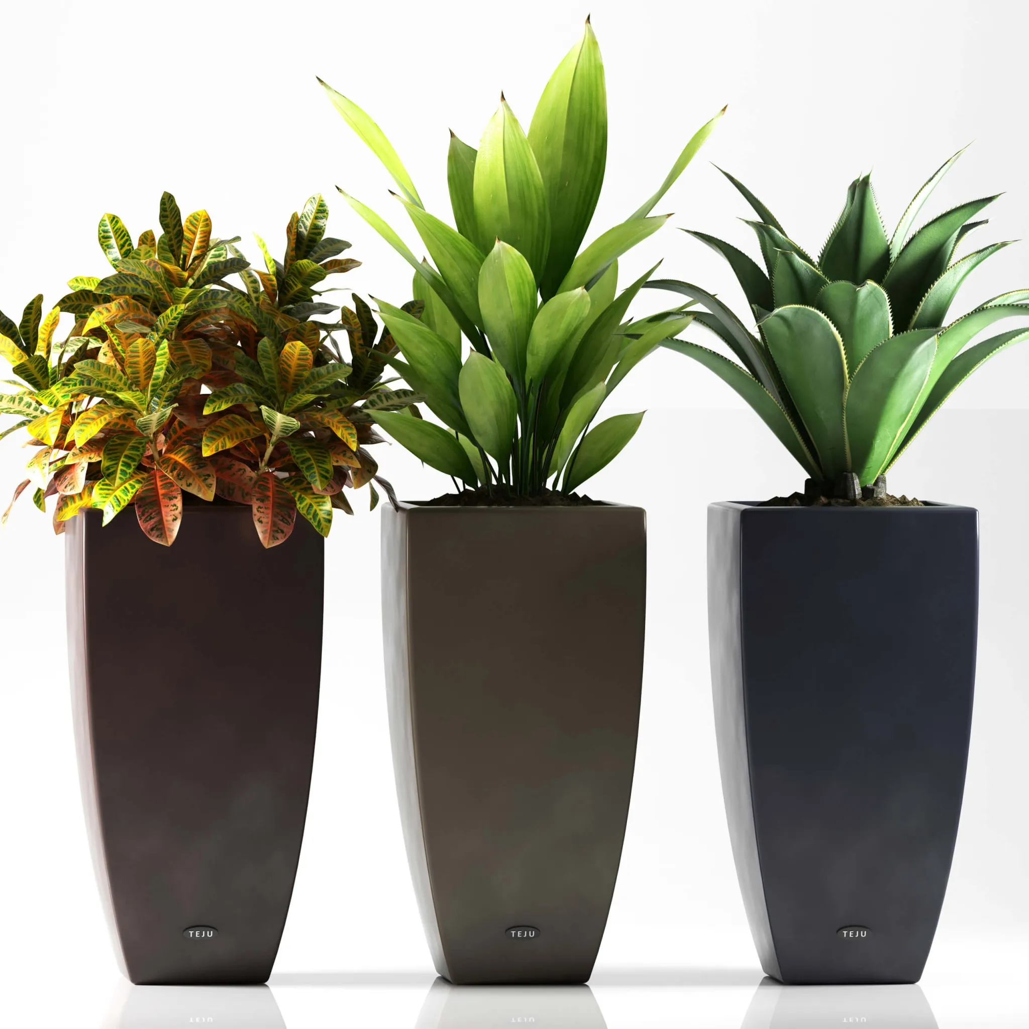 decoration - Plants 088 3D Model