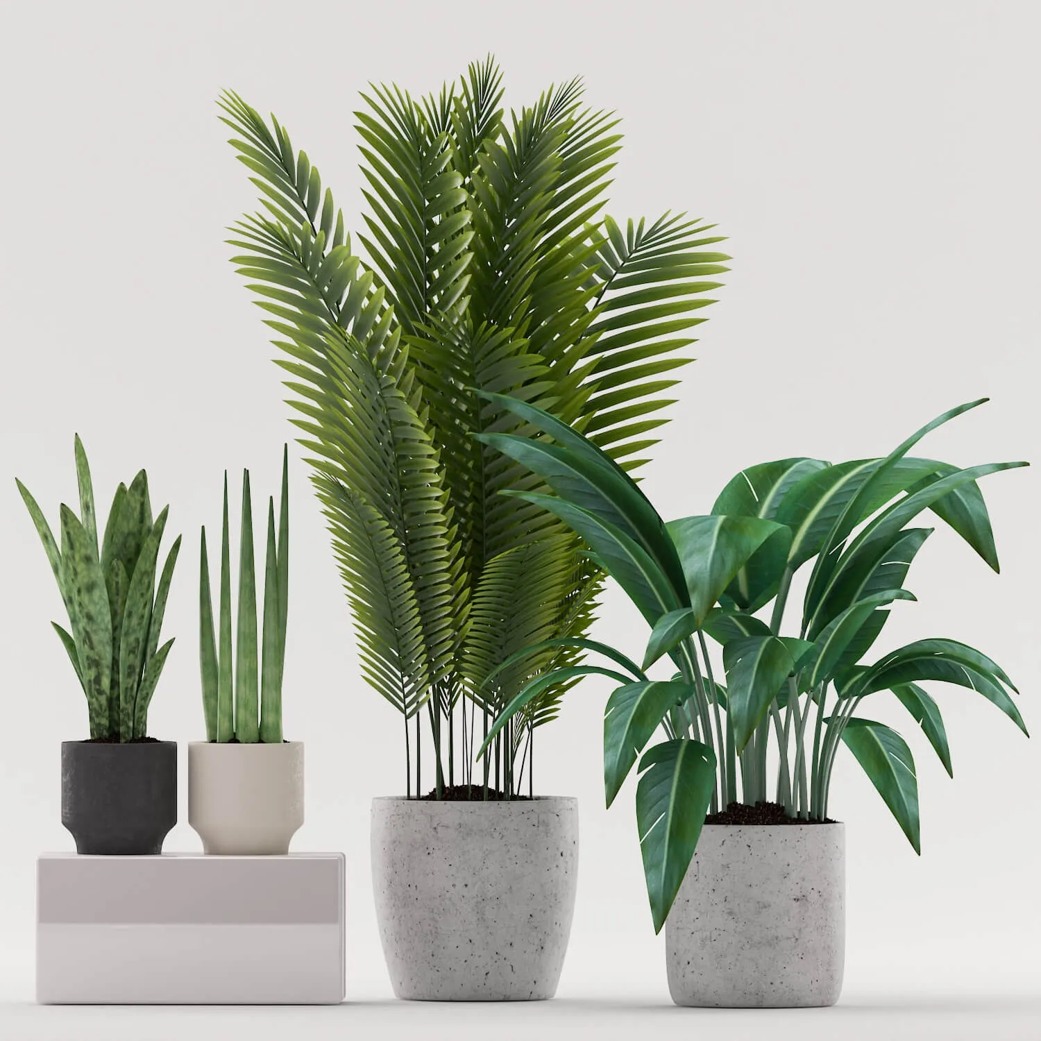 decoration - Plants 101.1 3D Model