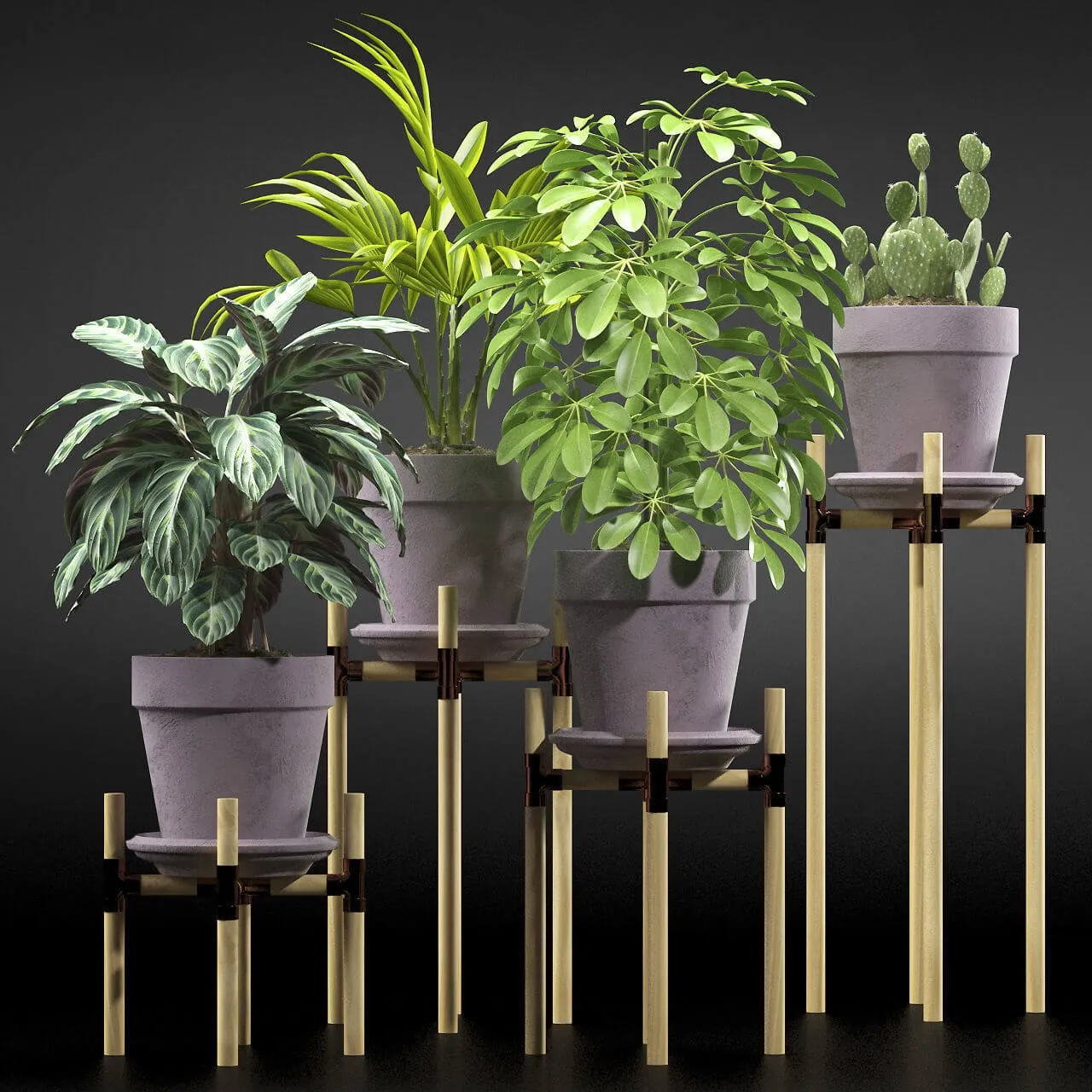 decoration - Plants 106.1 3D Model