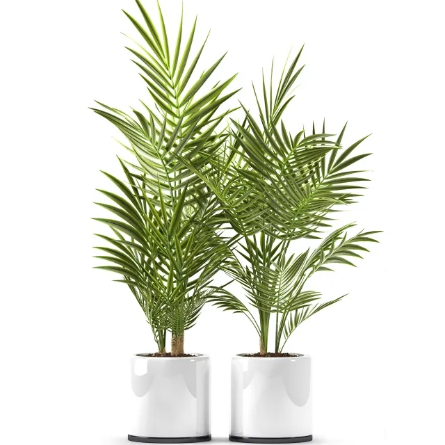 decoration - Plants 123 3D Model