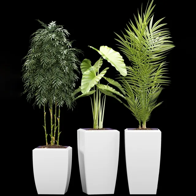 decoration - Plants 127 3D Model