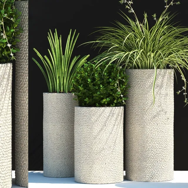 decoration - Plants 129 3D Model