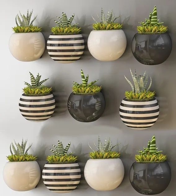 decoration - Plants 135 3D Model