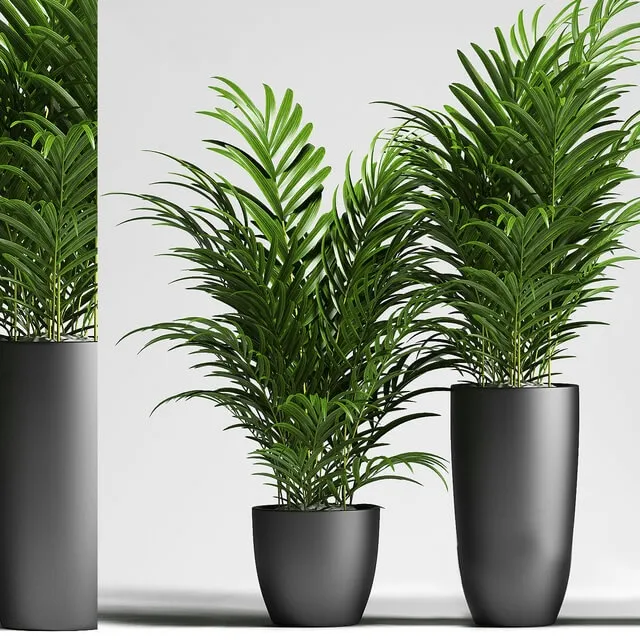 decoration - Plants 137 3D Model