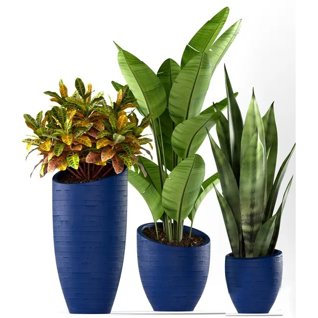 decoration - Plants 138 3D Model